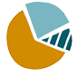 infographic icon